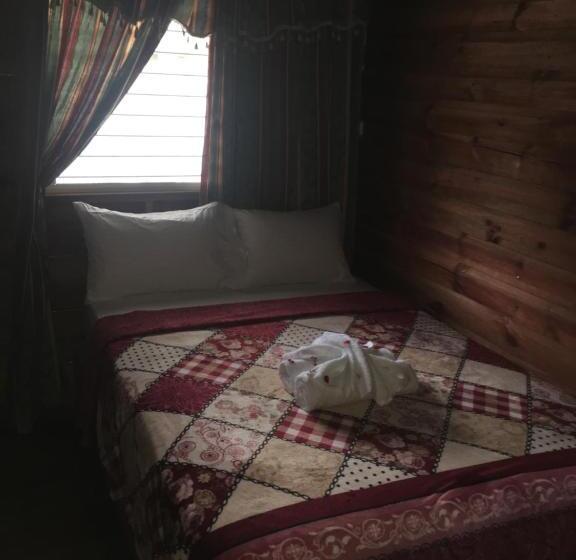 פנסיון Matus Guest House
