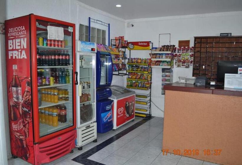 فندق Pachuca Inn