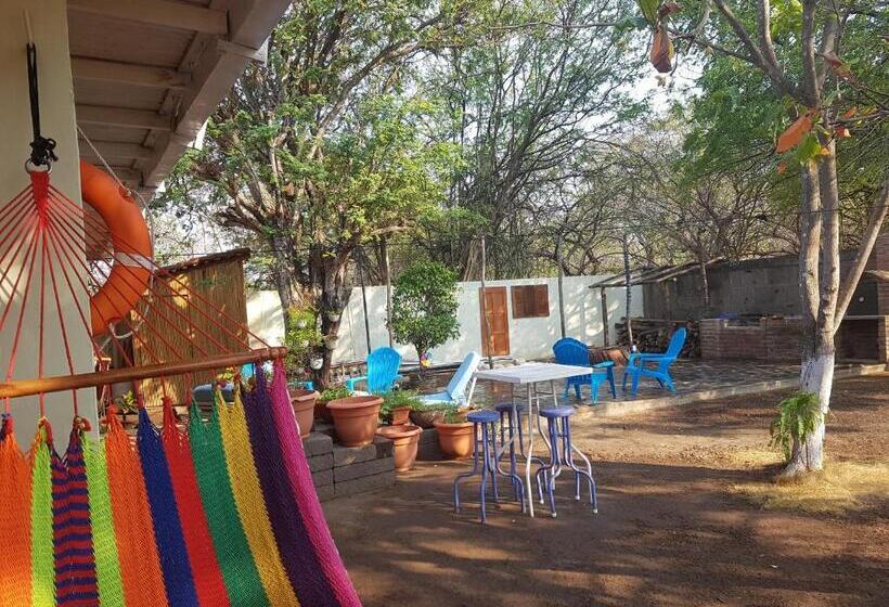 هاستل Tapihouse