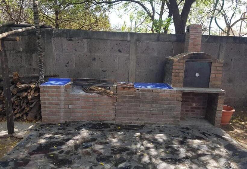 هاستل Tapihouse