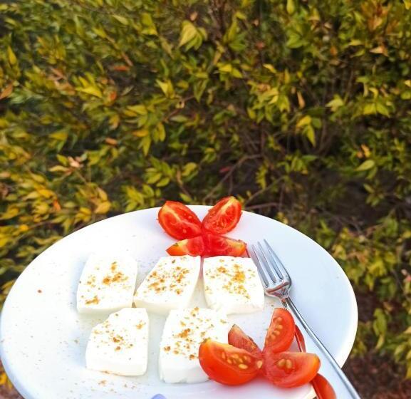בית מלון כפרי Agriturismo Su Birde