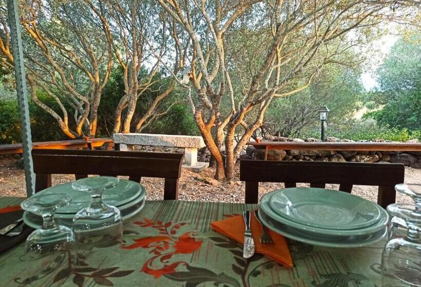 בית מלון כפרי Agriturismo Su Birde