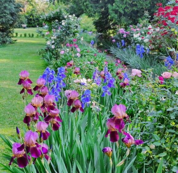 민박 Dandelion Como Suites & Park