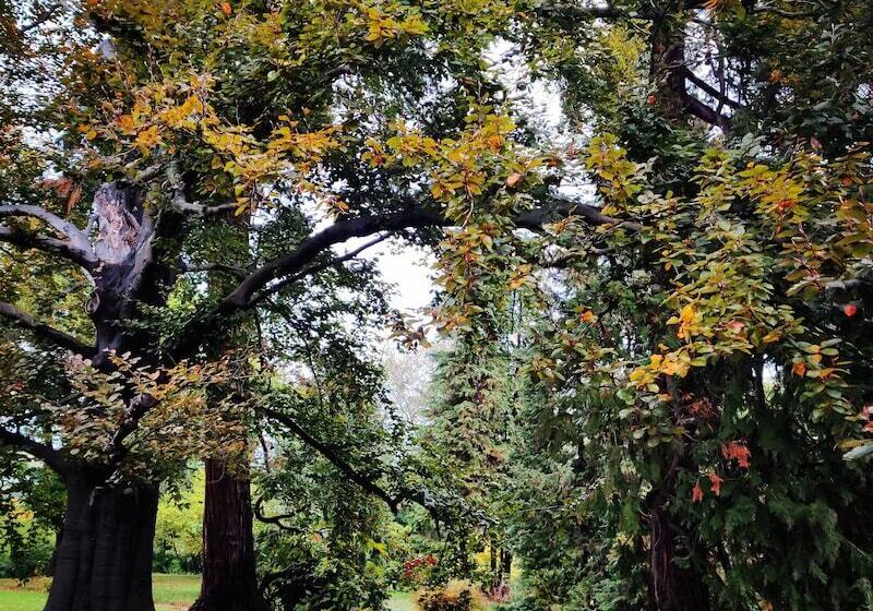 민박 Dandelion Como Suites & Park