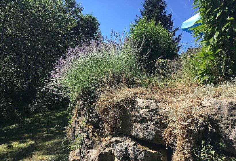 Gîtes La Source