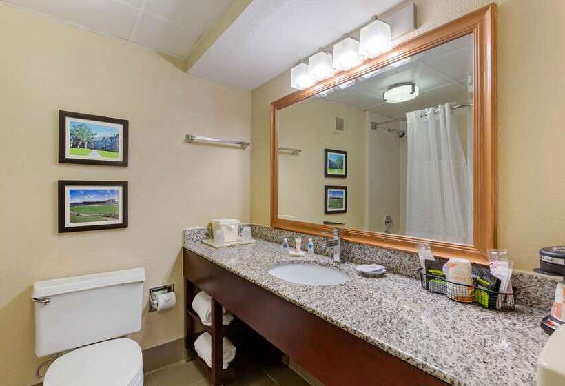 هتل Comfort Inn & Suites Durham Near Duke University