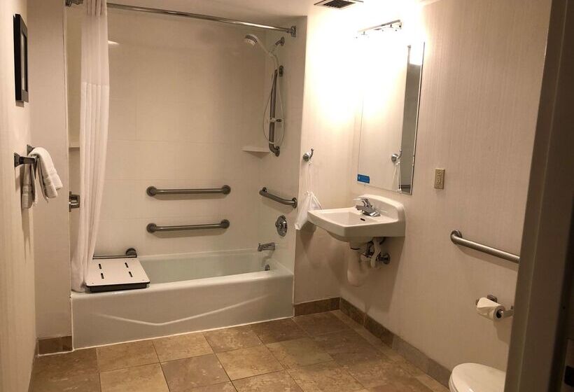 هتل Larkspur Landing Ann Arbor