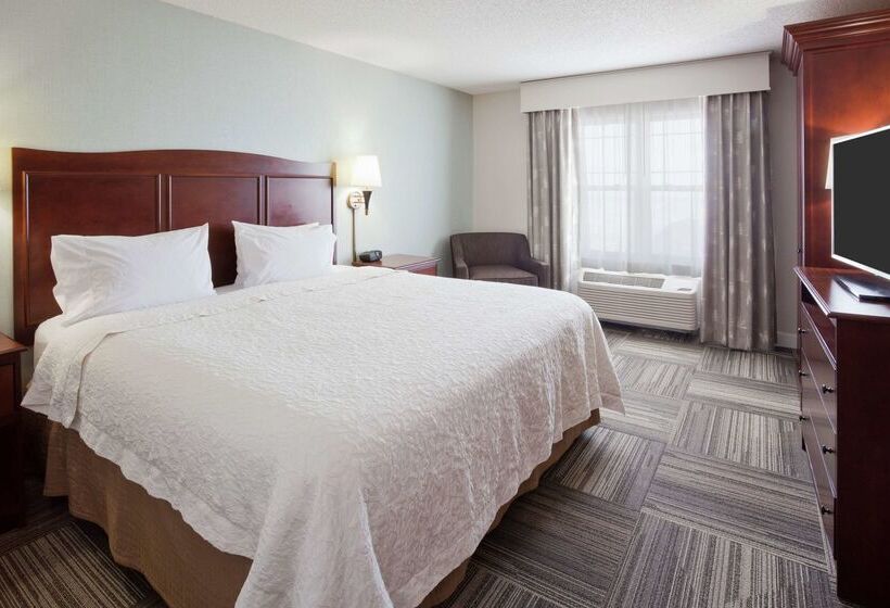 هتل Hampton Inn Duluth Canal Park