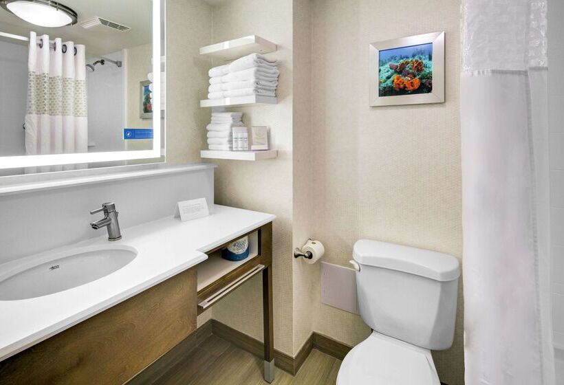 בית מלון כפרי Hampton Inn Ft. Lauderdale West/pembroke Pines