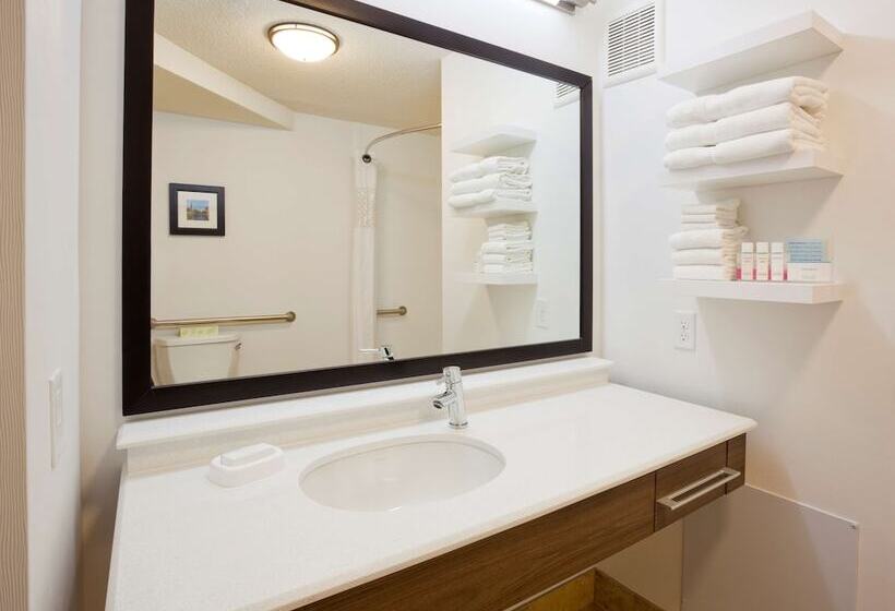 ホテル Hampton Inn Minneapolis Nw Maple Grove