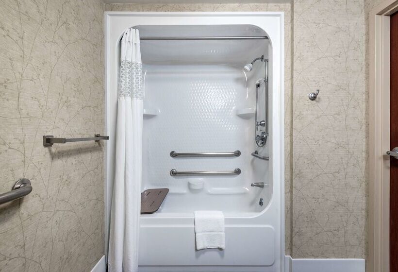 فندق Hampton Inn Roanoke/hollins  I81