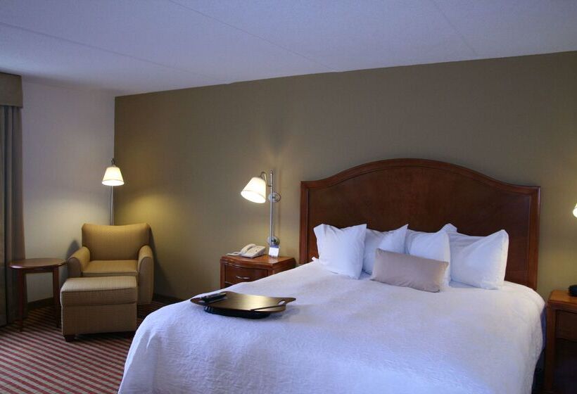 فندق Hampton Inn Roanoke/hollins  I81