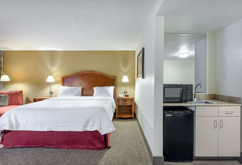 فندق Hampton Inn Roanoke/hollins  I81