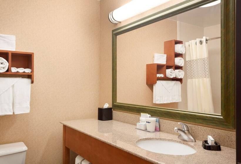 ホテル Hampton Inn Shawnee