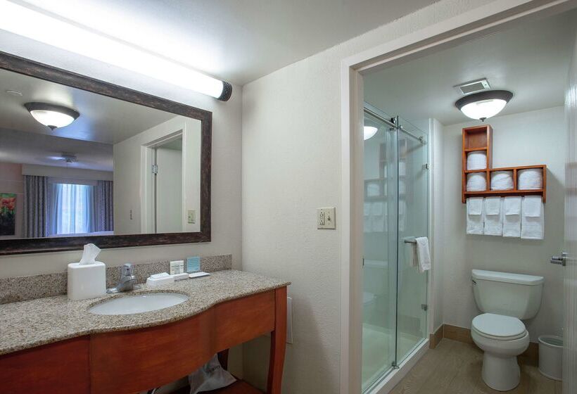 هتل Hampton Inn & Suites Williamsburgrichmond Rd