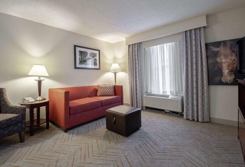 هتل Hampton Inn & Suites Williamsburgrichmond Rd