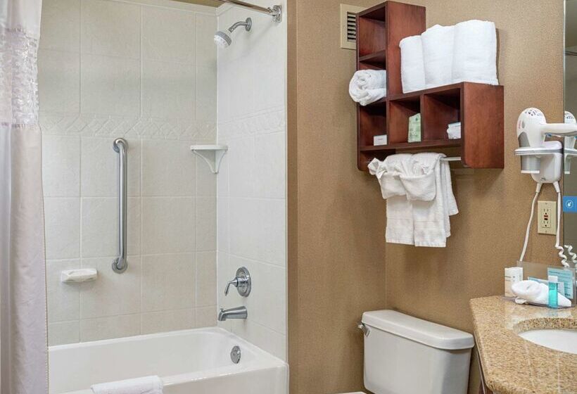 هتل Hampton Inn Tuscaloosa University