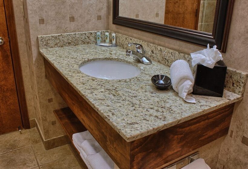 בית מלון כפרי Quality Inn Auburn Hills Detroit North