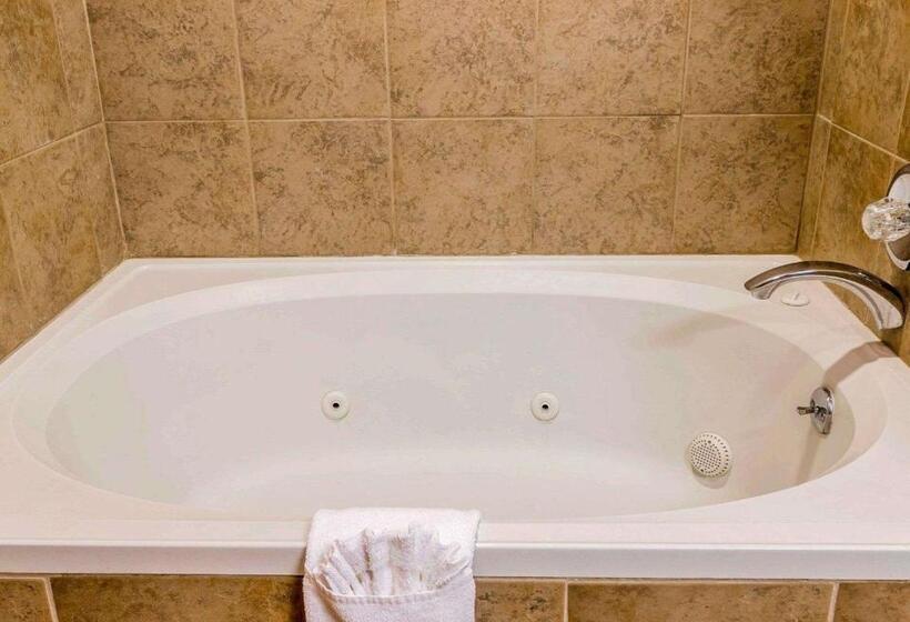 בית מלון כפרי Quality Inn Auburn Hills Detroit North