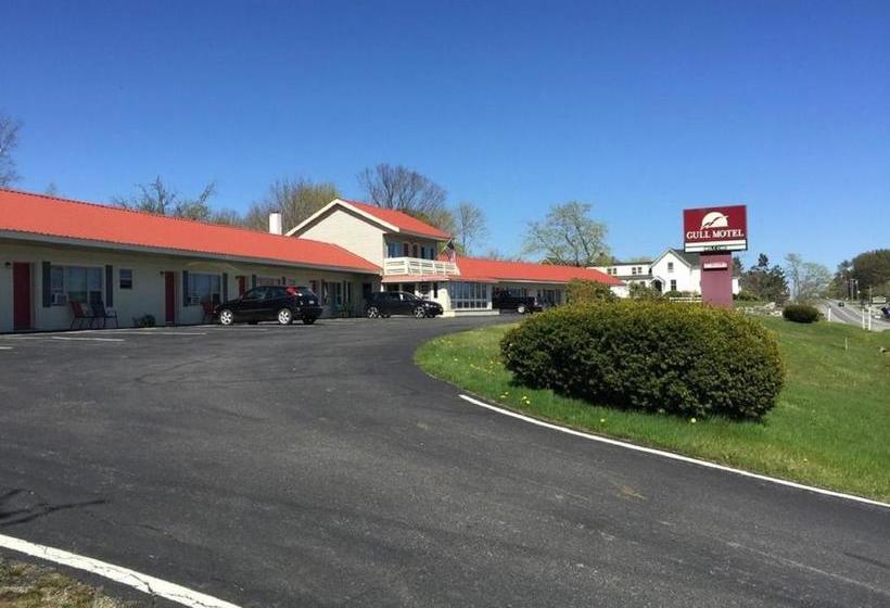 Gull Motel