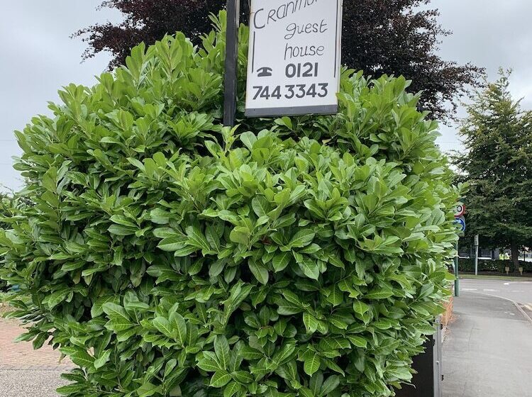 تختخواب و صبحانه Cranmore Guest House