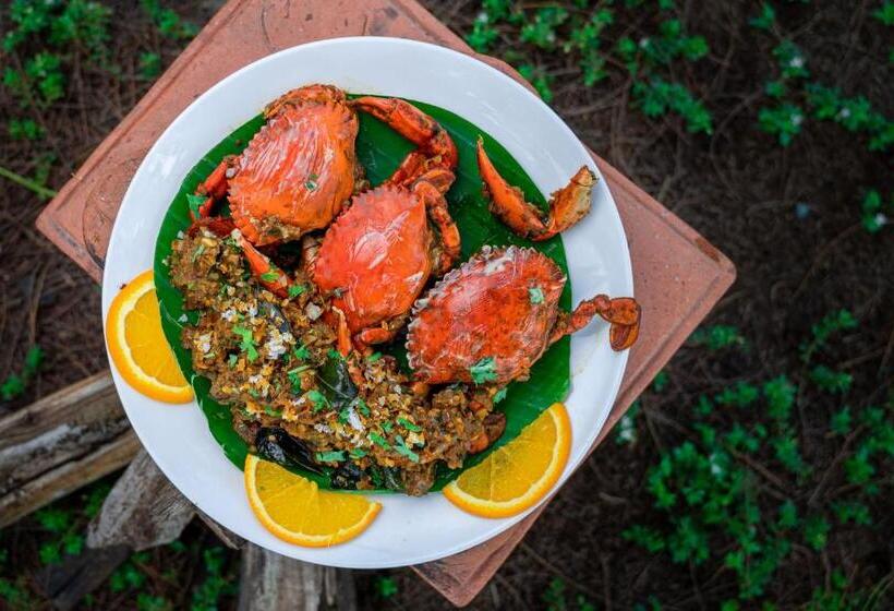 Lotus An Eco Beach Resort Dapoli Murud