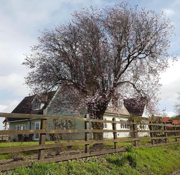 Spring Paddocks B&b
