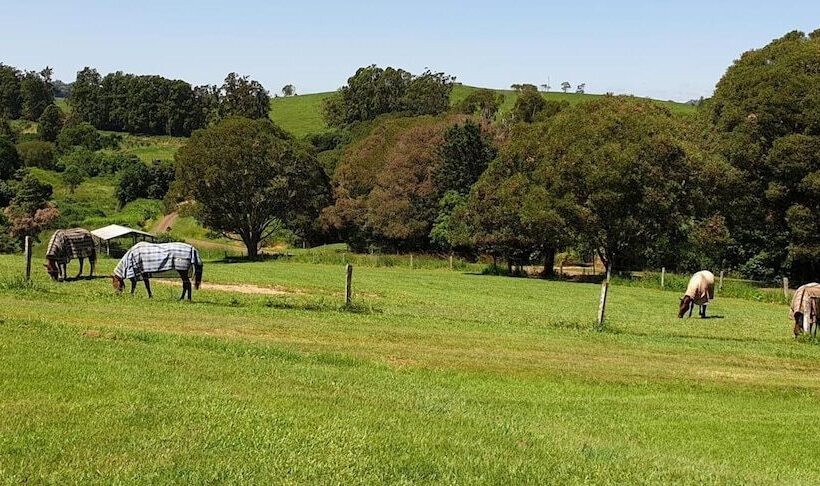 Yungaburra  Lodge