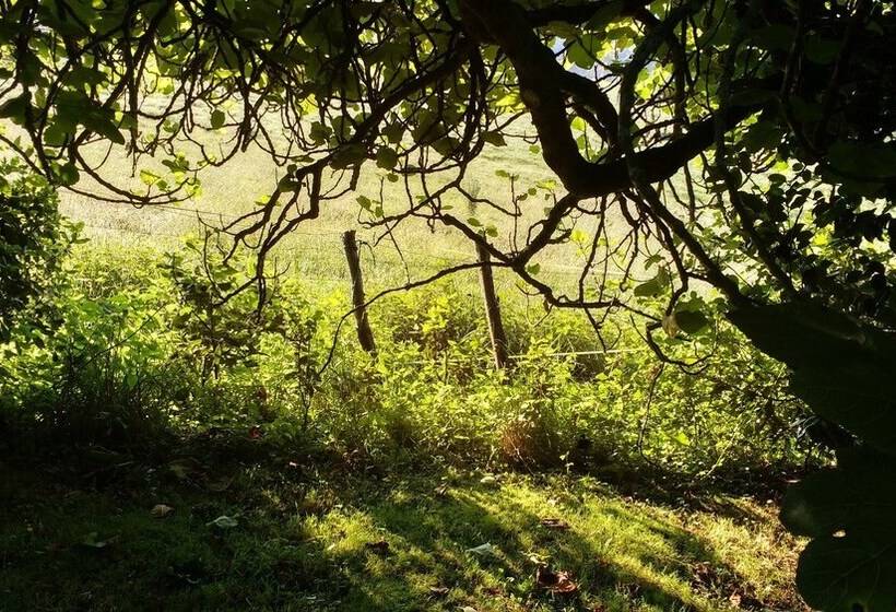 Apartamentos La Collada