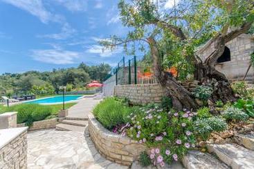 Apartments Drazen