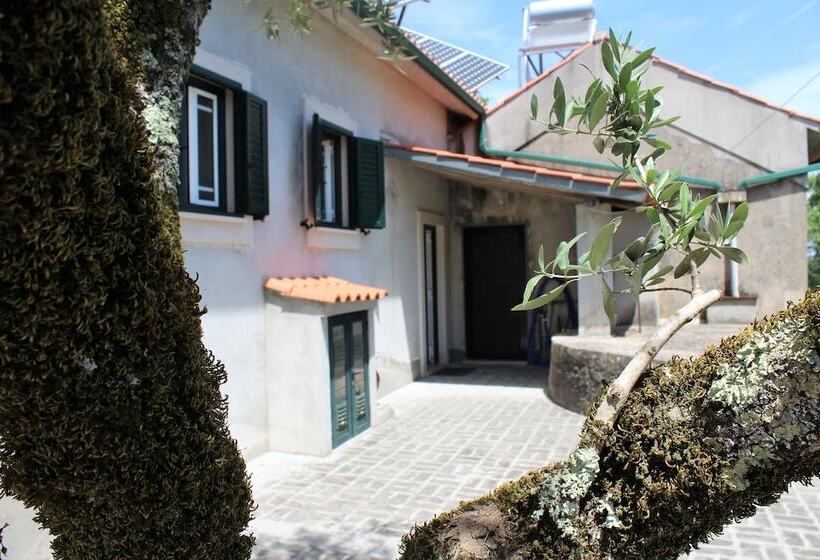 Casa Da Maria Moca