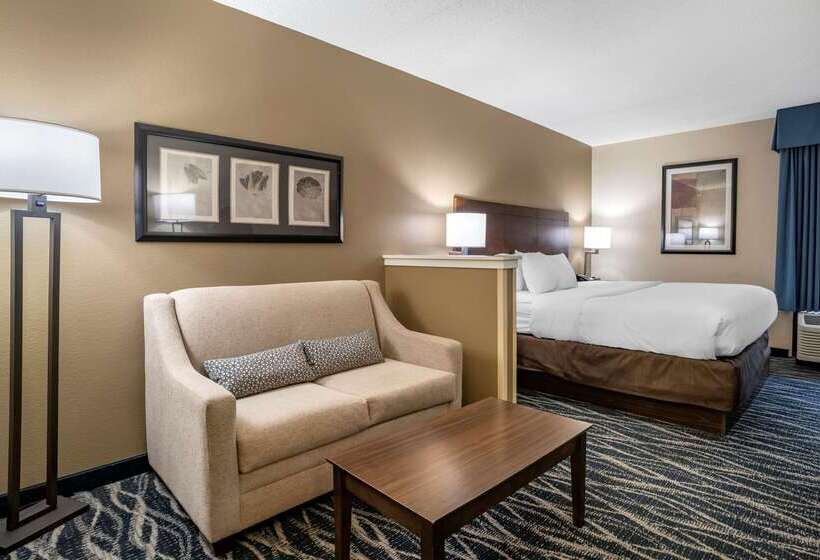 هتل Comfort Inn & Suites Newark  Wilmington