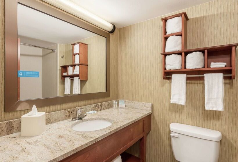 فندق Hampton Inn By Hilton Branson On The Strip