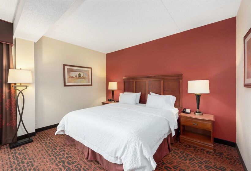فندق Hampton Inn By Hilton Branson On The Strip
