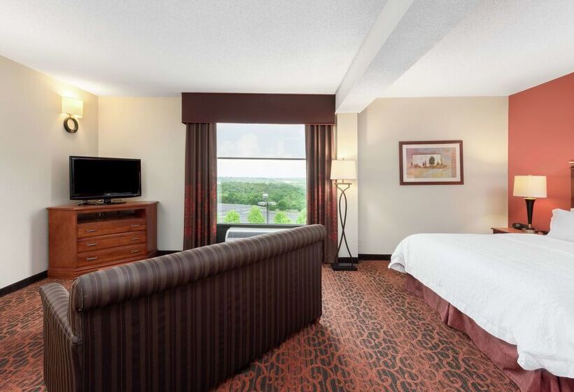 فندق Hampton Inn By Hilton Branson On The Strip
