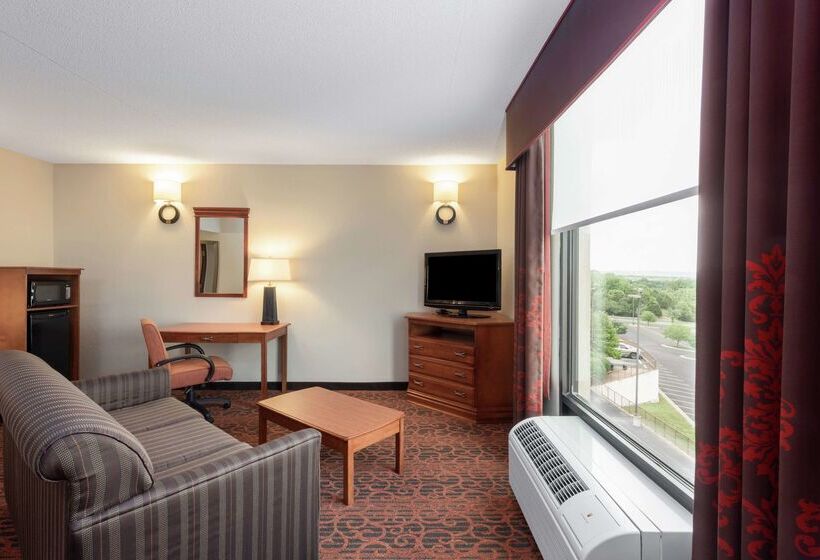 فندق Hampton Inn By Hilton Branson On The Strip