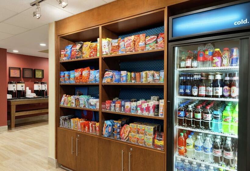 هتل Hampton Inn West Des Moines Lake Drive