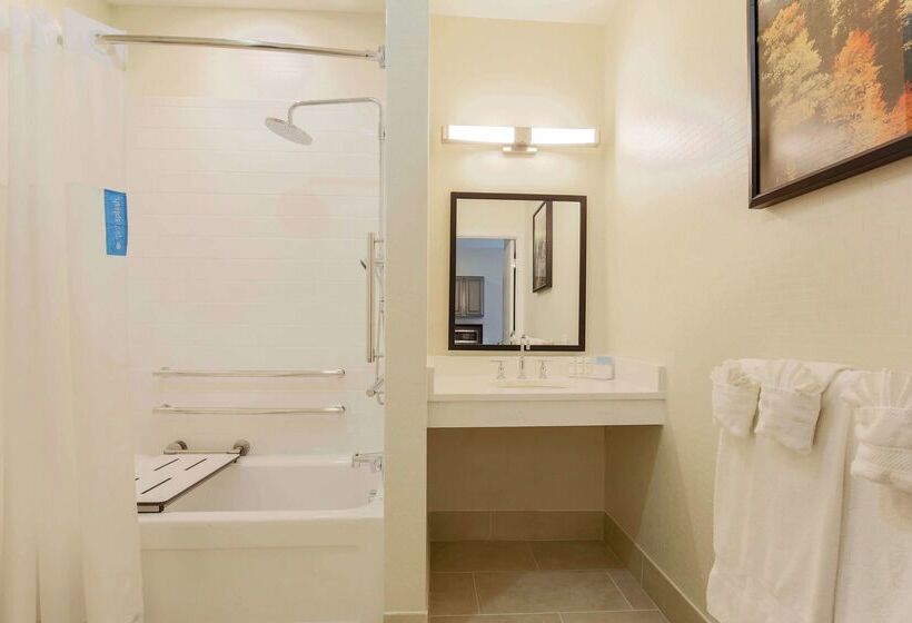 هتل Hampton Inn & Suites Denver Tech Center