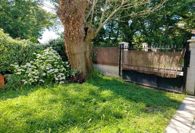 3 Bedrooms House With Enclosed Garden And Wifi At O Savinao 3 Km Away From The Beach