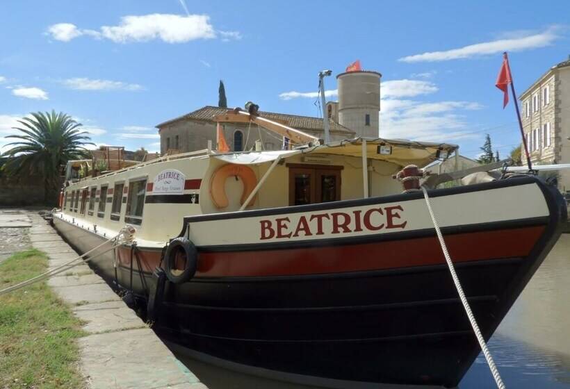 هتل Barge Beatrice Cruises On The Canal Du Midi