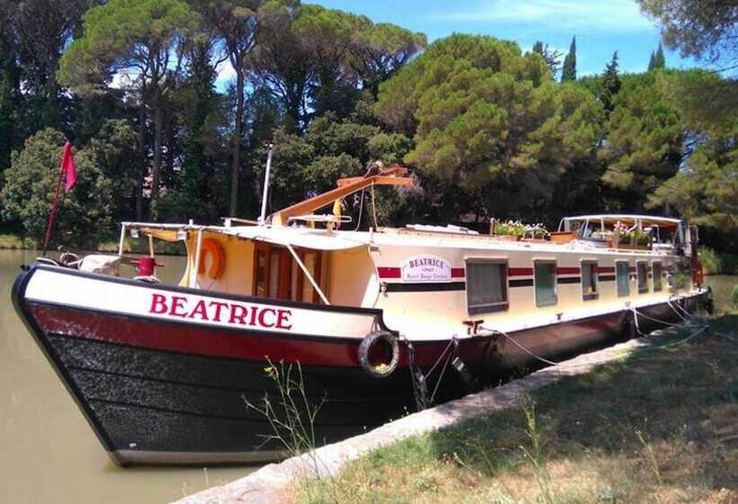 هتل Barge Beatrice Cruises On The Canal Du Midi