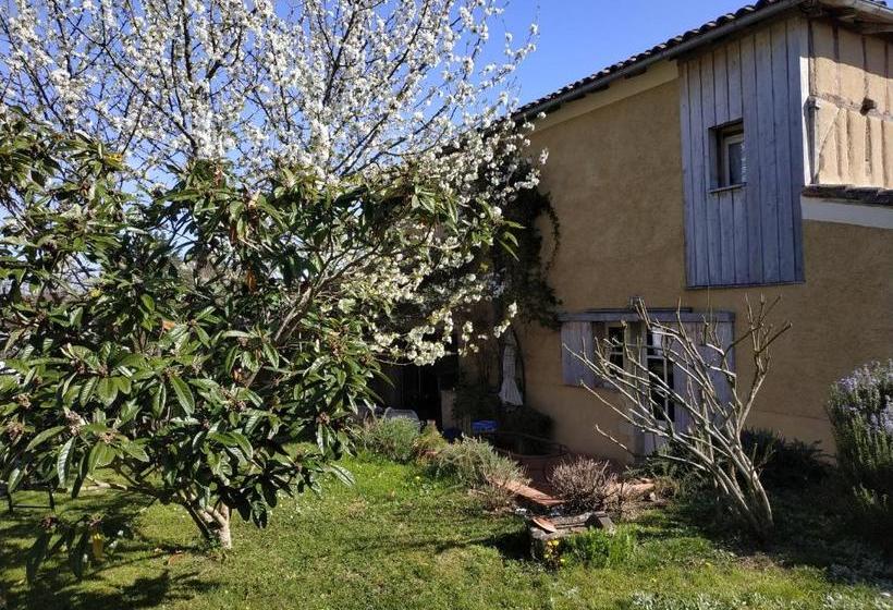 민박 Au Campaner Chambres Dans Maison Gasconne