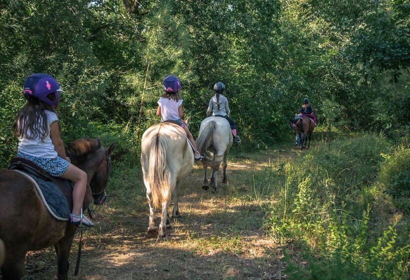 Отель Village Vacances La Martière   Oléron