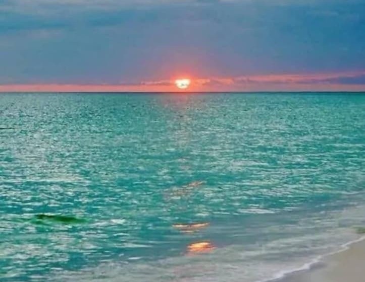 Beautiful Property In Hallandale Beach!!!