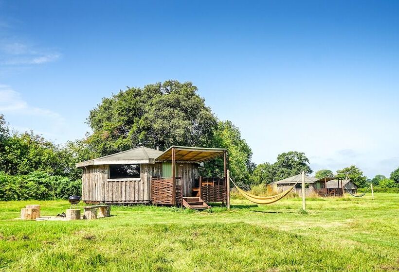 فندق Grey Willow Yurts