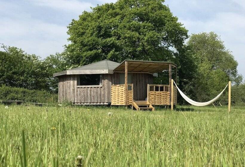 فندق Grey Willow Yurts