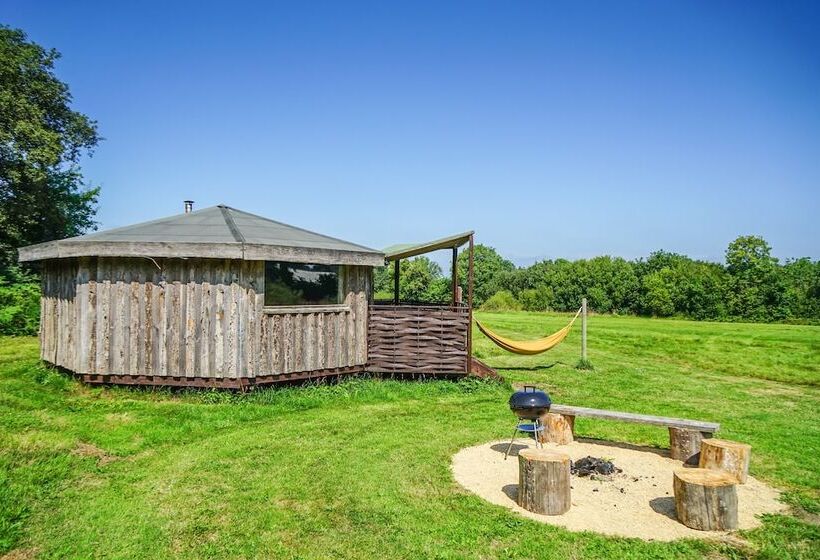 فندق Grey Willow Yurts