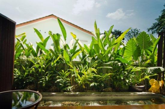 هتل Mydream Homestay