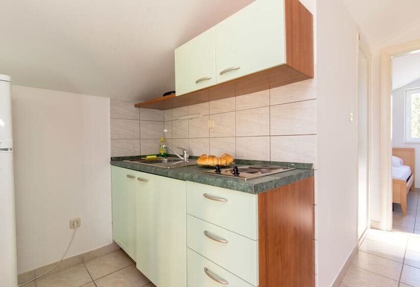 Apartments Ana