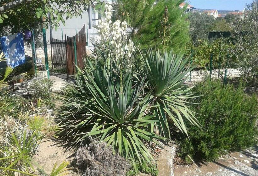 Apartments Ziva By The Beach;